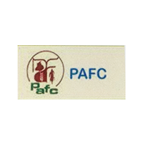 PAFC Company Logo with Skin colour in the background