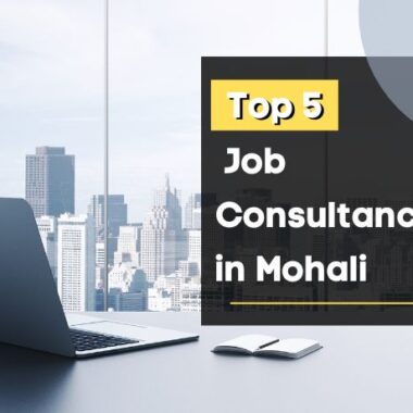 Top 5 Job Consultancy-mohali